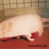 Tinta Coloris 4724 EU per escorxadors, marca fins i tot sobre carn greix