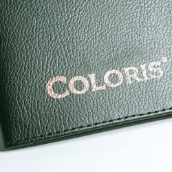 Coloris 4000P.Efecto metálico, recomendada para el campo artístico