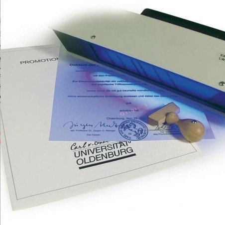 Tinta luminosa Coloris 1073 única luminosa para superficies blancas